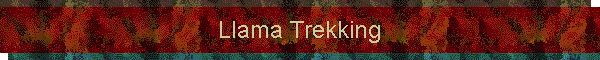 Llama Trekking
