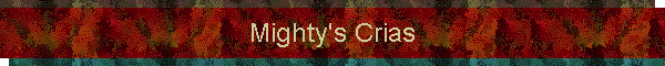 Mighty's Crias